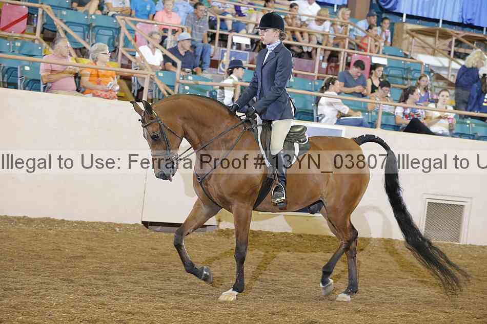 Proof 13yn_03807