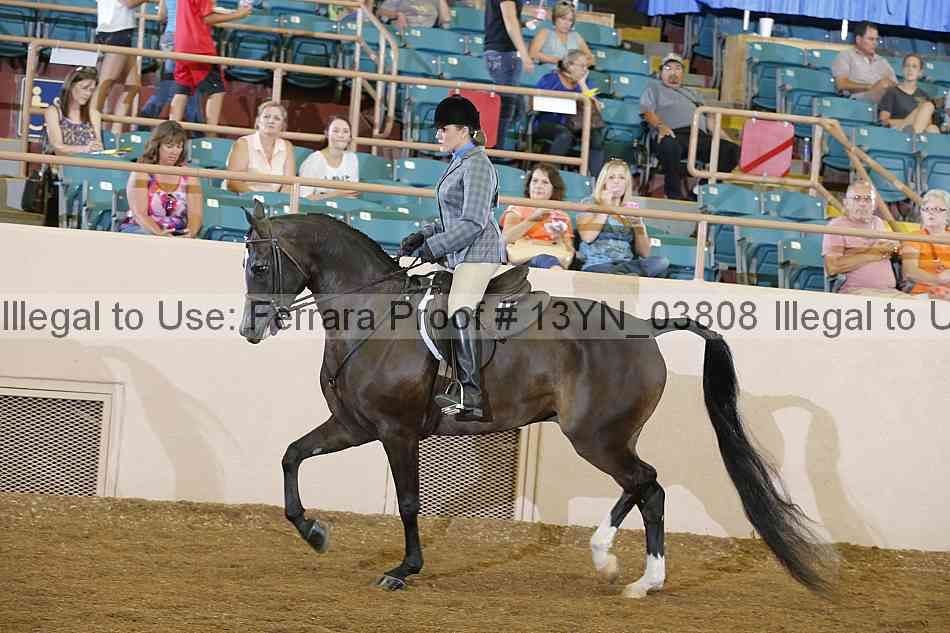 Proof 13yn_03808