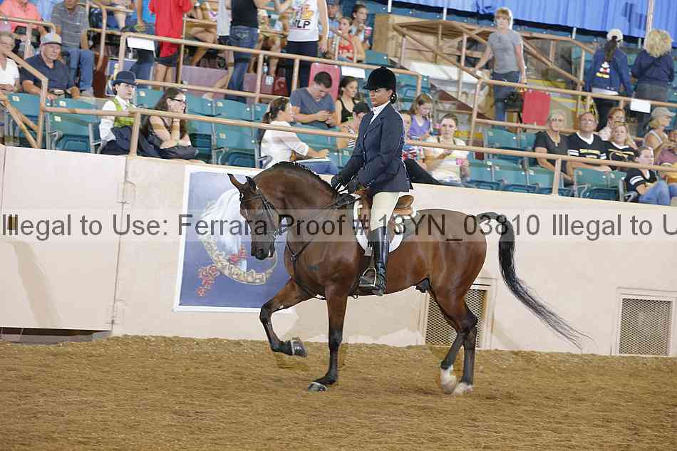 Proof 13yn_03810