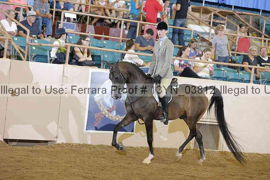 Proof 13yn_03812