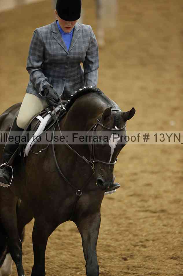 Proof 13yn_03819