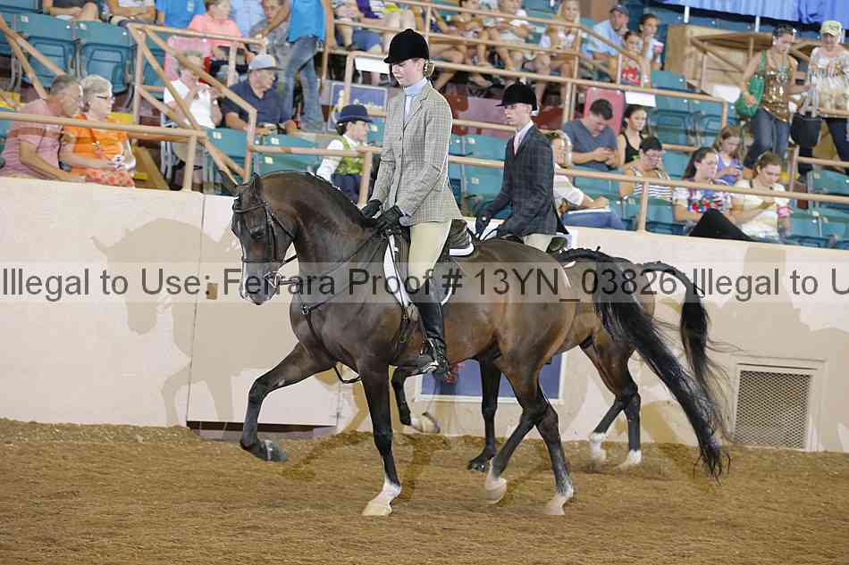 Proof 13yn_03826