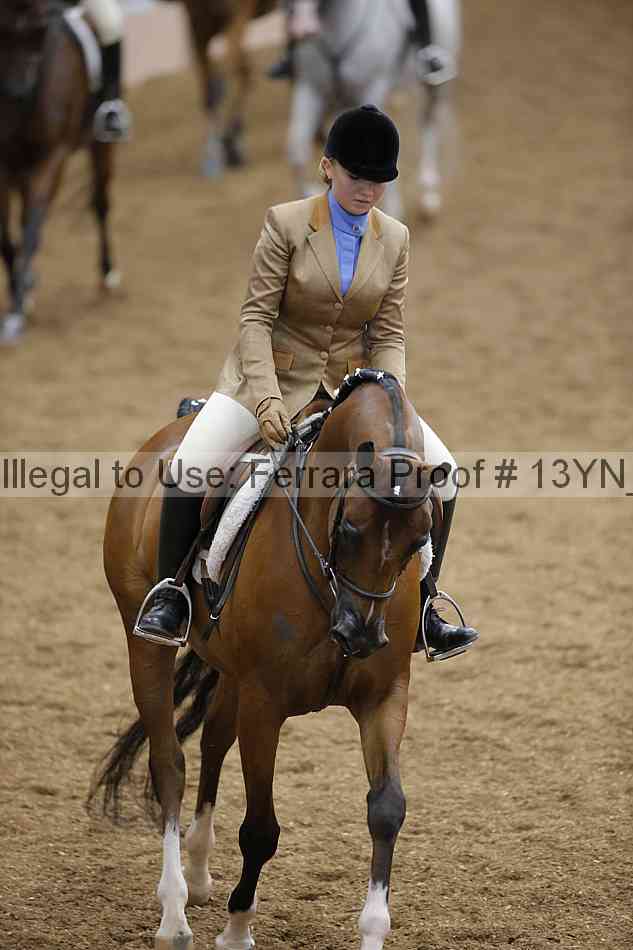 Proof 13yn_03835