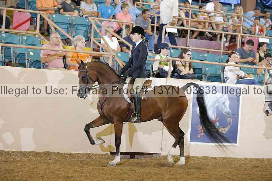 Proof 13yn_03838