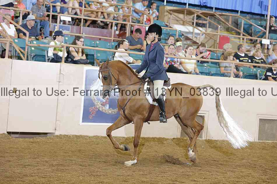 Proof 13yn_03839