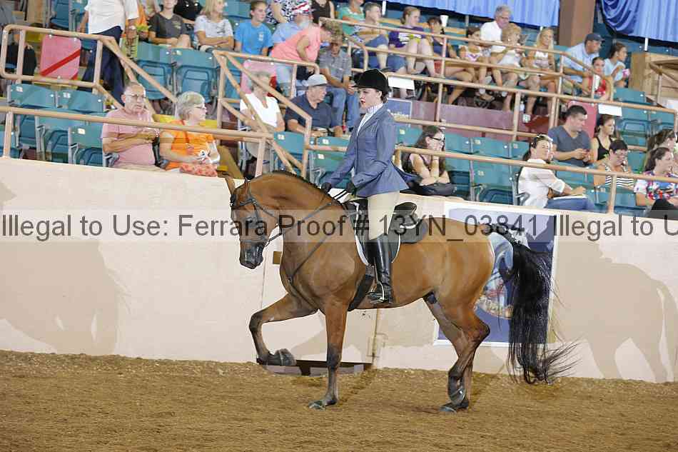 Proof 13yn_03841