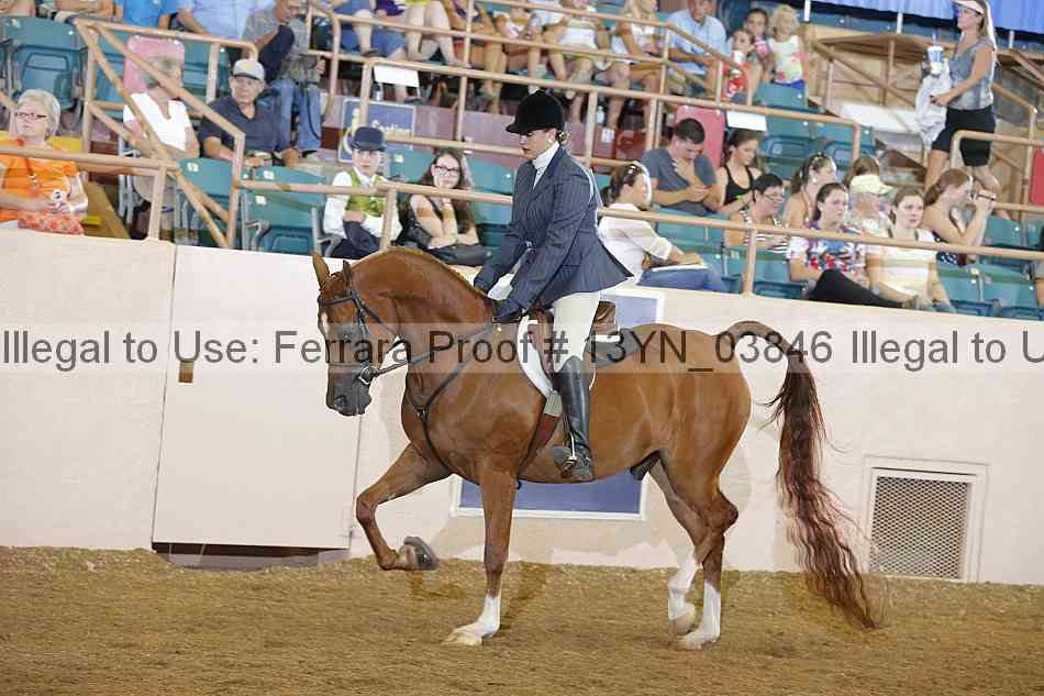 Proof 13yn_03846