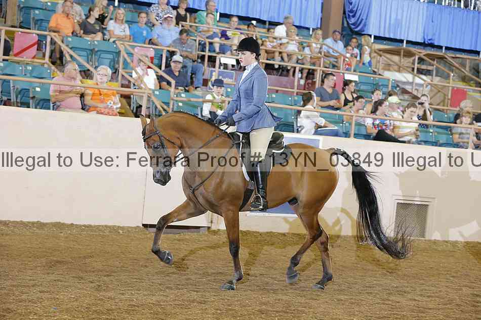 Proof 13yn_03849