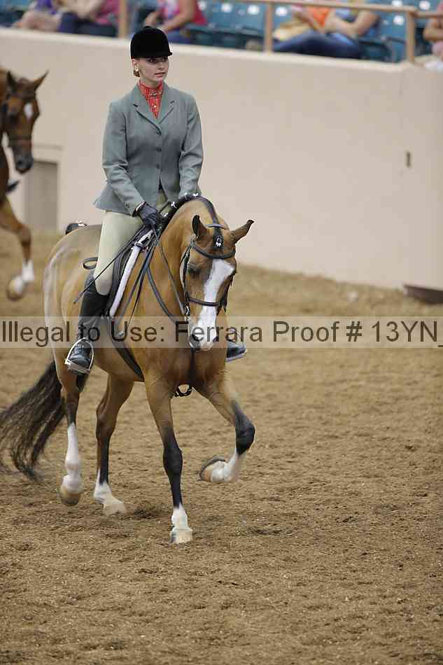 Proof 13yn_03851