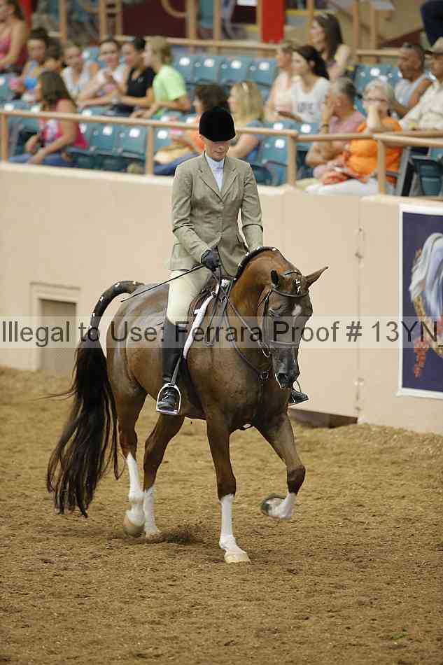 Proof 13yn_03852