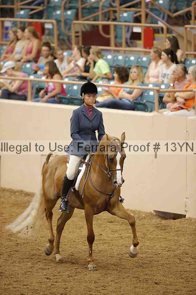 Proof 13yn_03853
