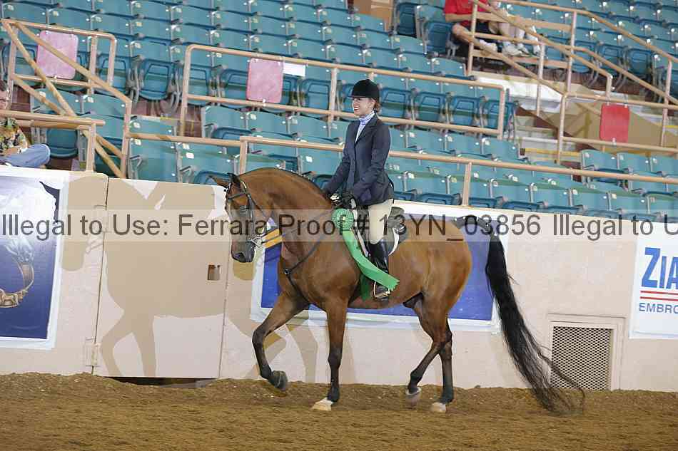 Proof 13yn_03856
