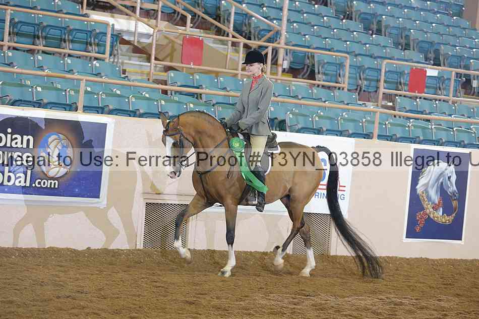 Proof 13yn_03858