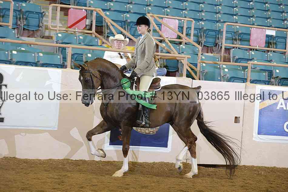 Proof 13yn_03865