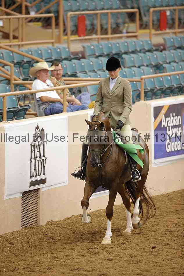 Proof 13yn_03867