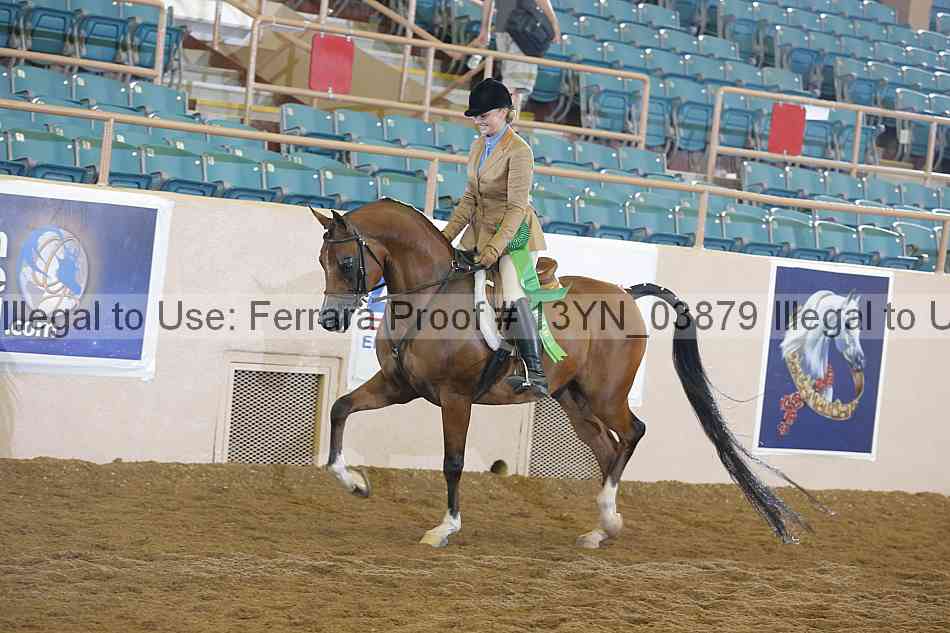 Proof 13yn_03879