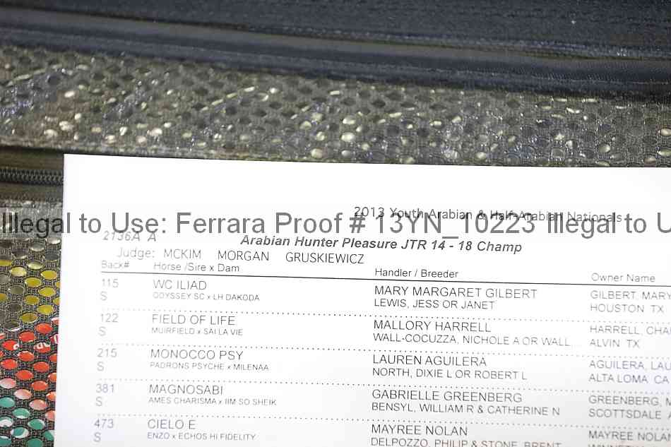 Proof 13yn_10223