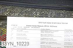 13yn_10223 proof