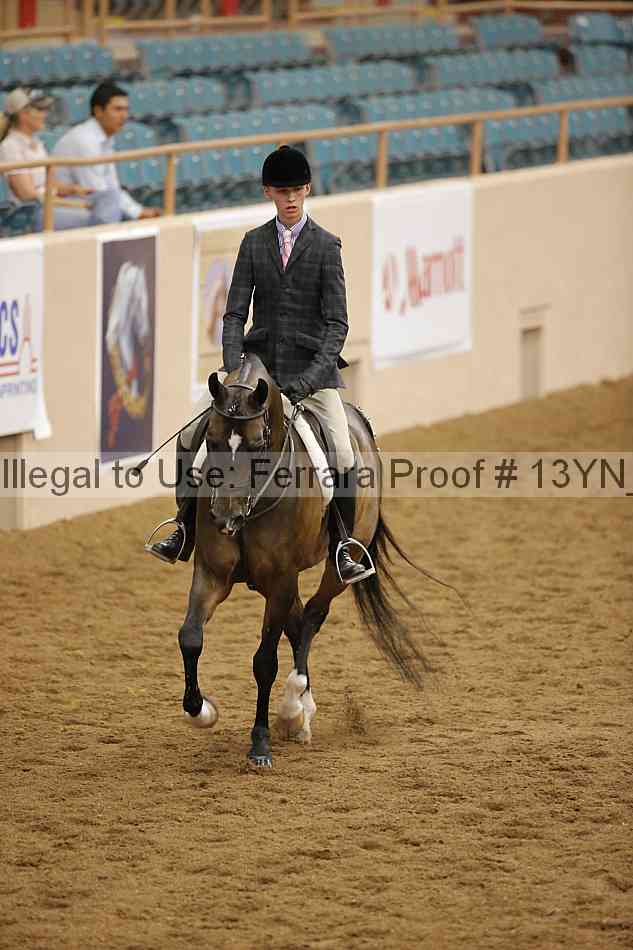 Proof 13yn_10226
