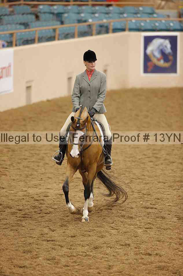 Proof 13yn_10235