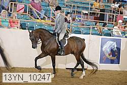 13yn_10247 proof
