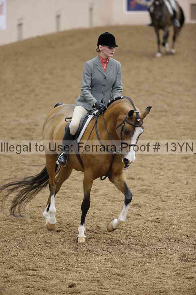 Proof 13yn_10255