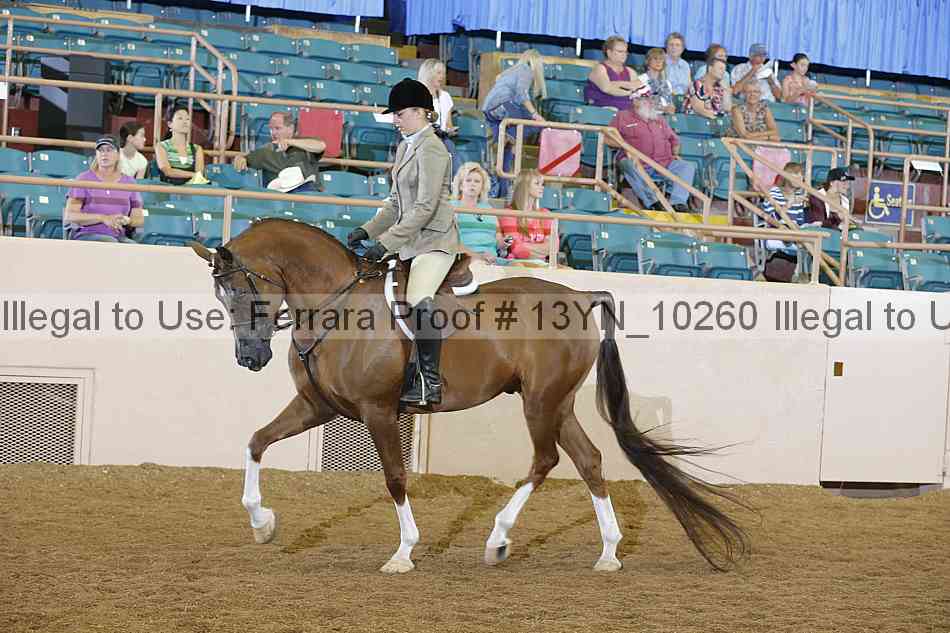 Proof 13yn_10260
