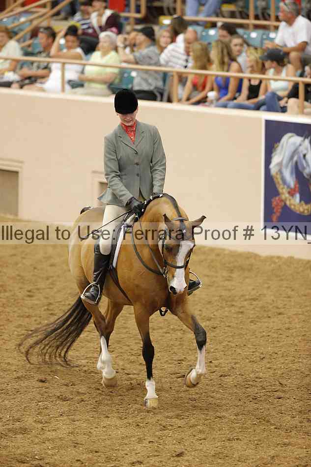 Proof 13yn_10278