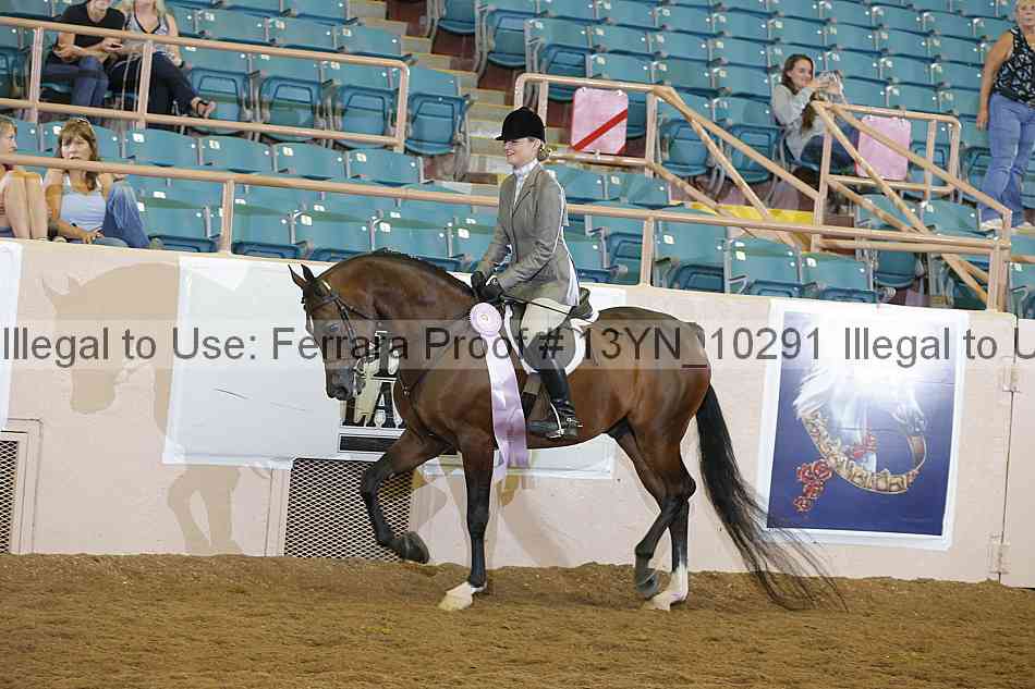 Proof 13yn_10291