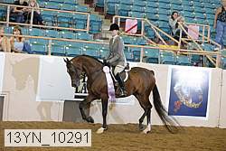 13yn_10291 proof