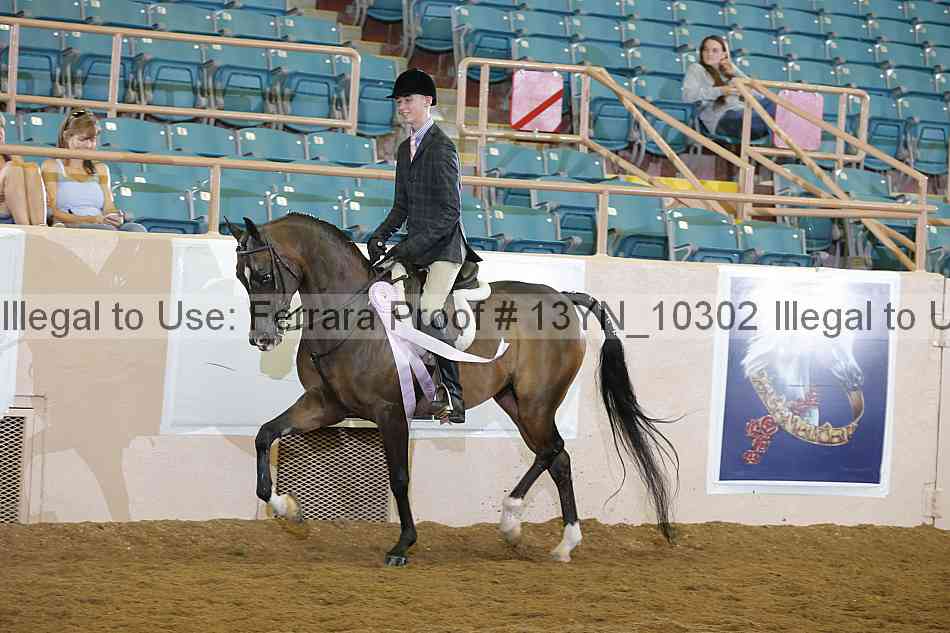 Proof 13yn_10302