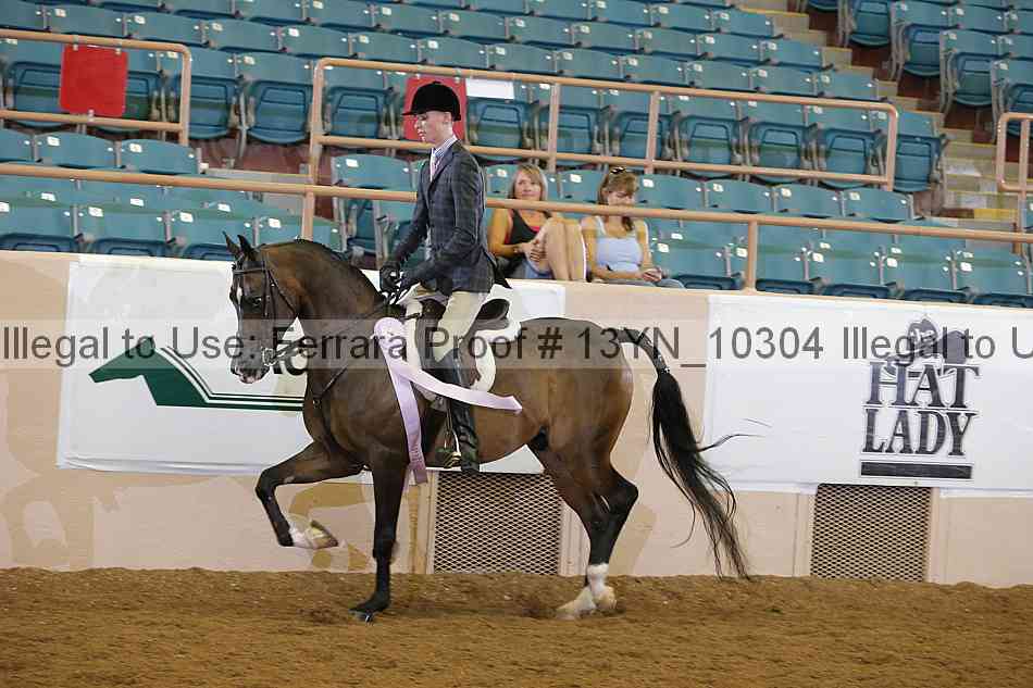 Proof 13yn_10304