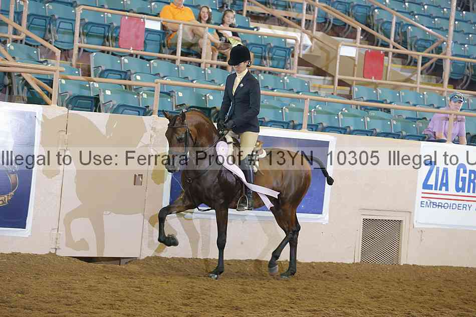 Proof 13yn_10305