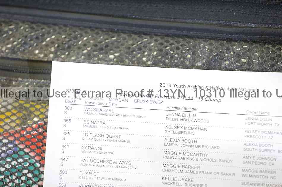Proof 13yn_10310