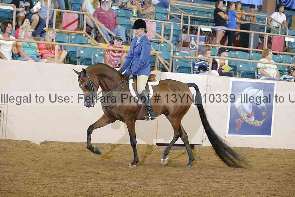 Proof 13yn_10339