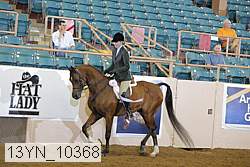 13yn_10368 proof