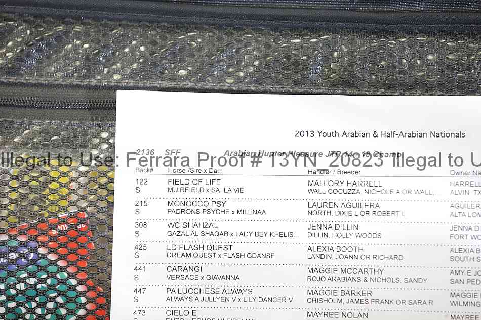 Proof 13yn_20823
