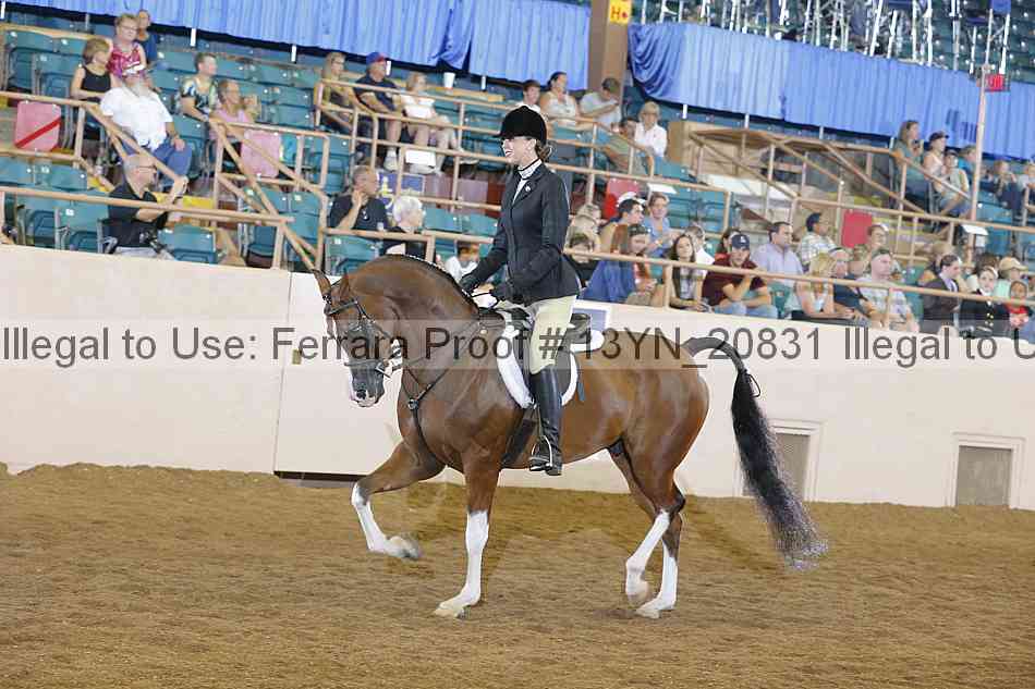 Proof 13yn_20831