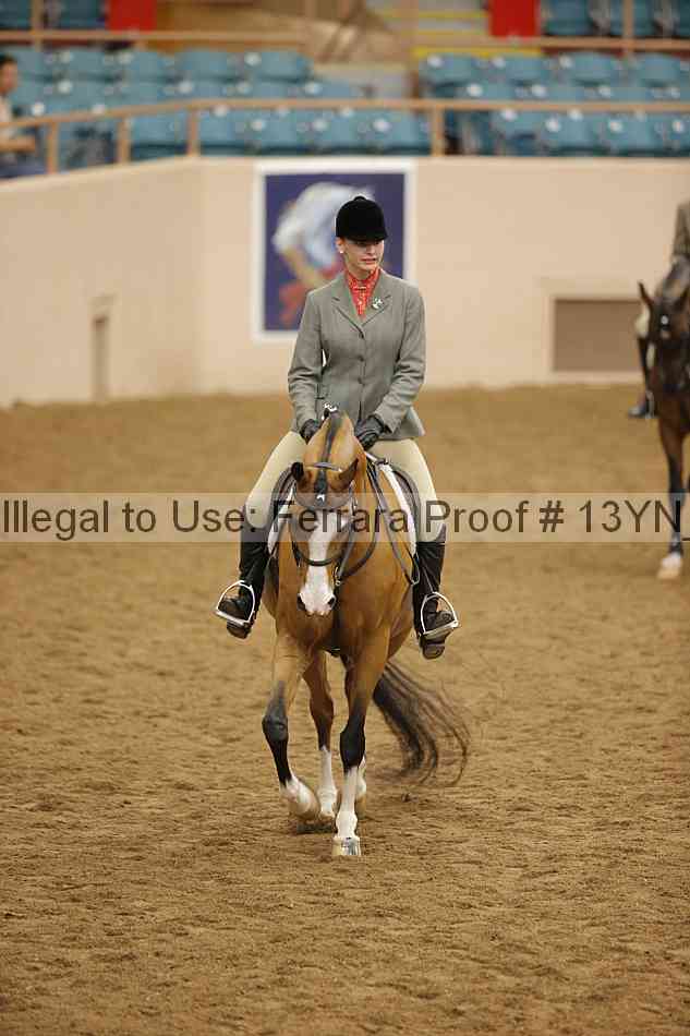 Proof 13yn_20832