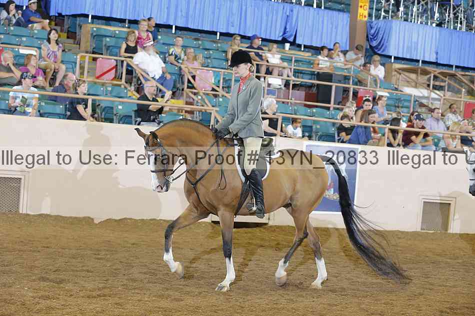 Proof 13yn_20833