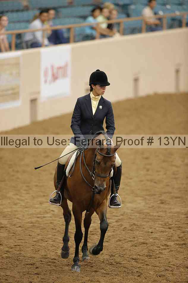Proof 13yn_20838