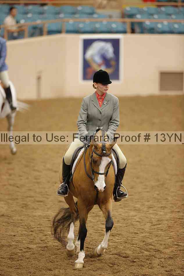 Proof 13yn_20843