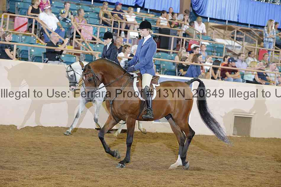 Proof 13yn_20849