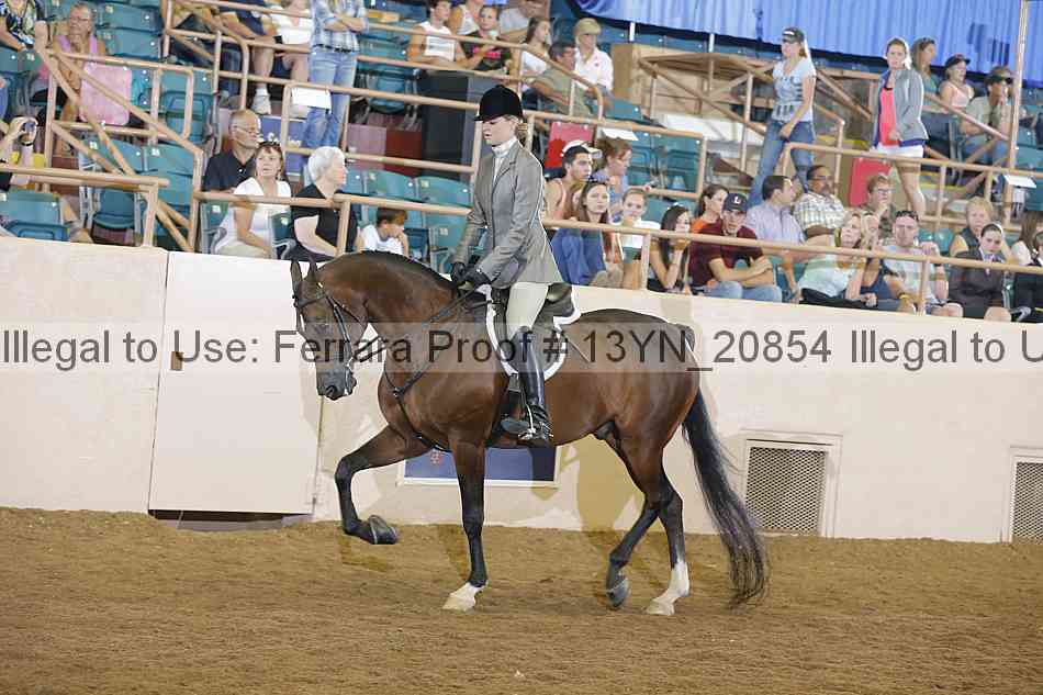 Proof 13yn_20854