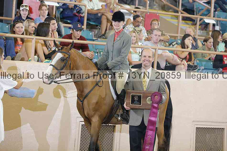 Proof 13yn_20859