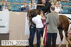 13yn_20886 proof
