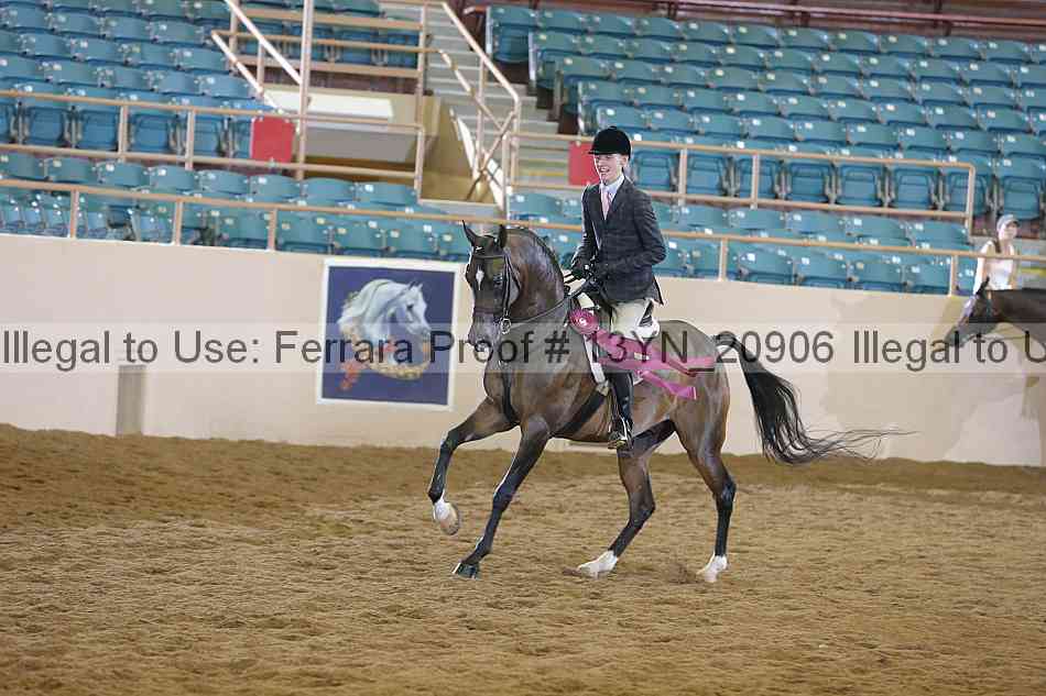 Proof 13yn_20906