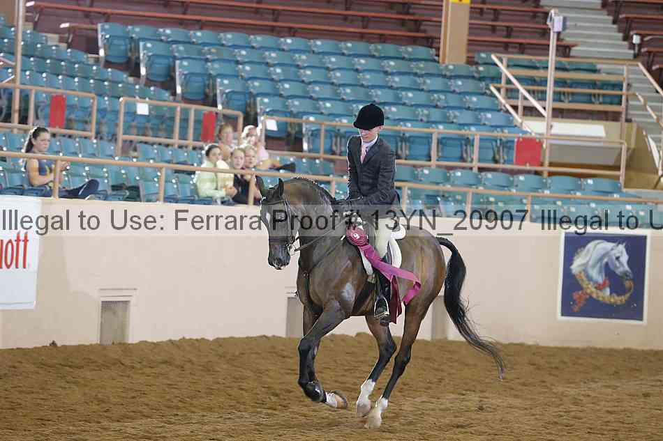 Proof 13yn_20907