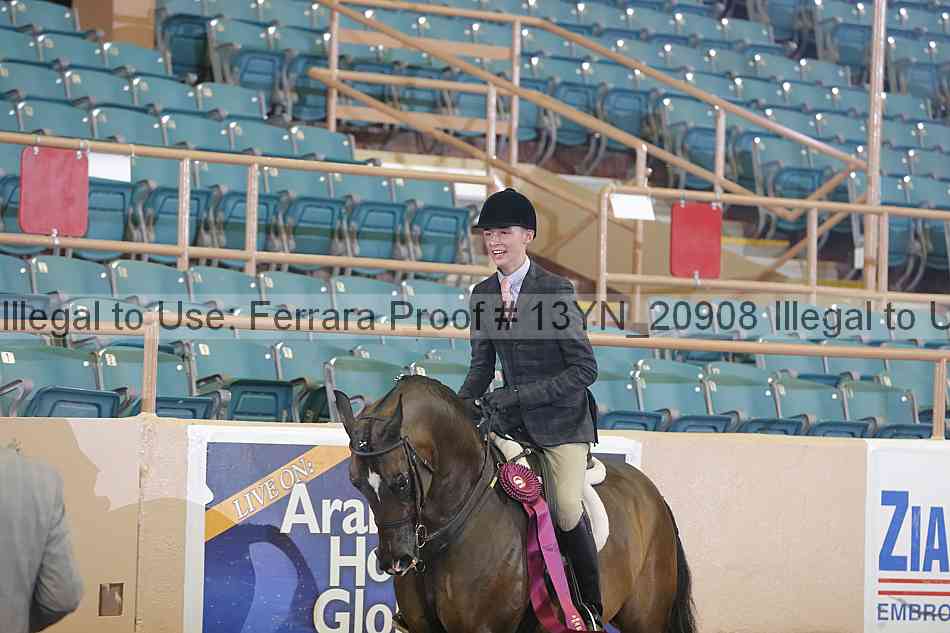 Proof 13yn_20908