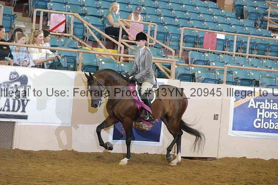 Proof 13yn_20945